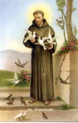 Szent Ferenc galambokkal (szentkép)